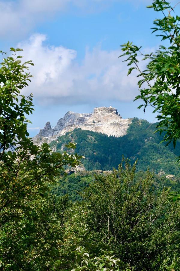 Casa Del Geco - La Natura Intorno A Te Camaiore Eksteriør bilde