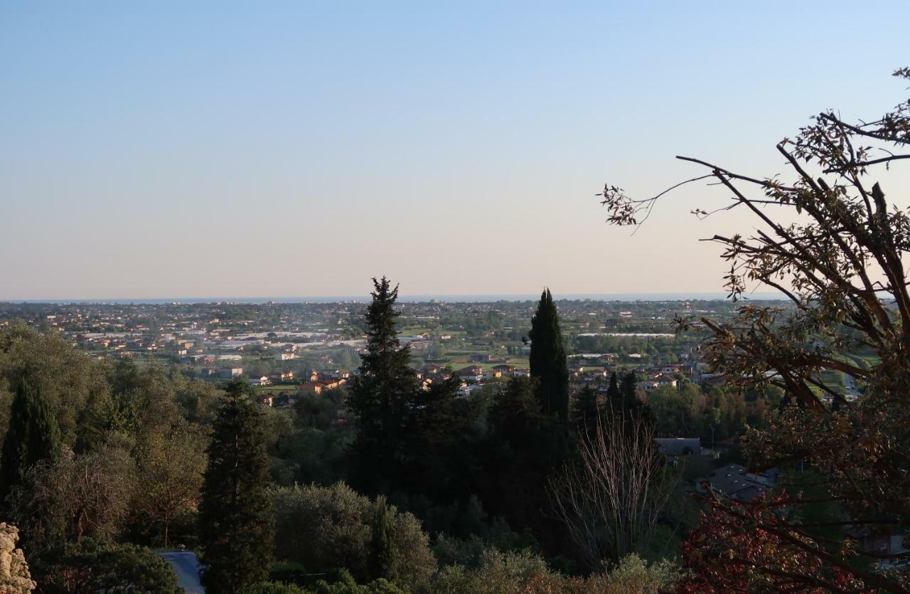 Casa Del Geco - La Natura Intorno A Te Camaiore Eksteriør bilde